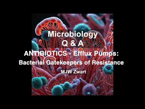 Microbiology Q&A ANTIBIOTICS - Efflux Pumps: The Bacterial Gatekeepers of Antibiotic Resistance