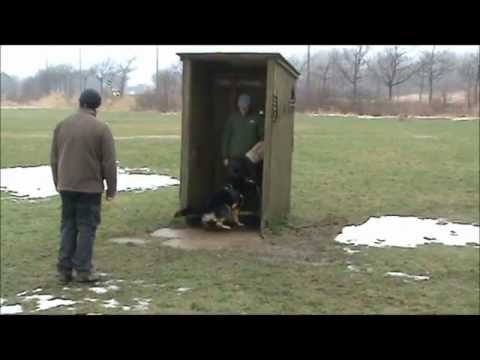 Jabina Raul Protection 15 month old