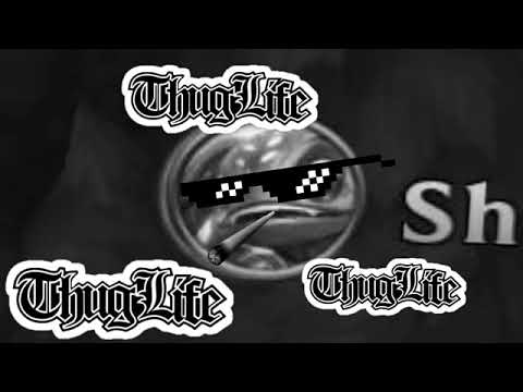 how to counter shaco xD league of legend  (high elo)