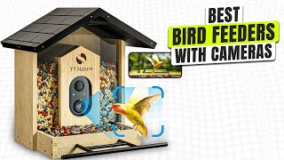 3 BEST Bird Feeder with Camera - Stop Missing Amazing Bird Clips!