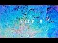 PIL C feat. ZAYO - TRIPPIN (prod. DALYB) 