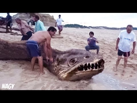 Most Unbelievable Beach Moments Ever Caught