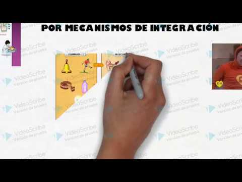 Modelo EPIR Estimulo y Respuesta