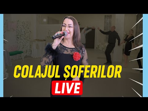 Vasilica de la Strehaia LIVE 2026 – Colaj Sârbe Nemuritoare | Petrecerea Șoferilor de Cursă Lungă