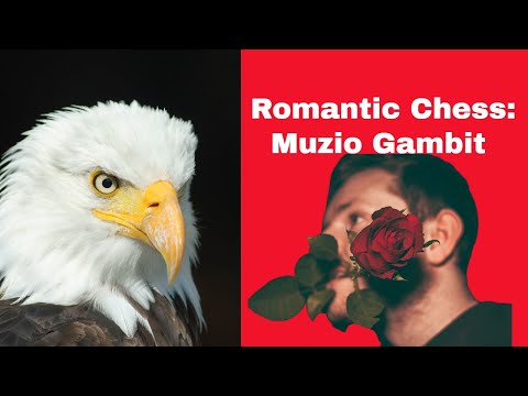 Romantic Chess: Muzio Gambit | Henry Edward Bird vs Arthur J Maas: London 1874