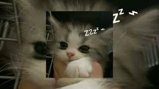 Download lagu Angkasa - Diandra Arjunaidi (speed up) mp3 Download lagu Angkasa - Diandra Arjunaidi (speed up) mp3