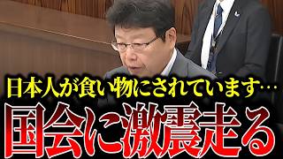 【移民の真実】永住権ちゃん？北村晴男の圧巻追及で永住権についてとんでもない制度の穴が判明しました…【日本保守党/百田尚樹/移民問題】