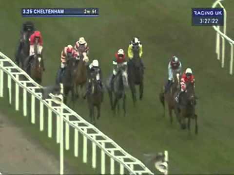 2012 Neptune Investment Management Novices´ Hurdle
