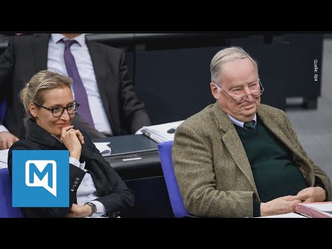 AfD erbt 7 Millionen Euro