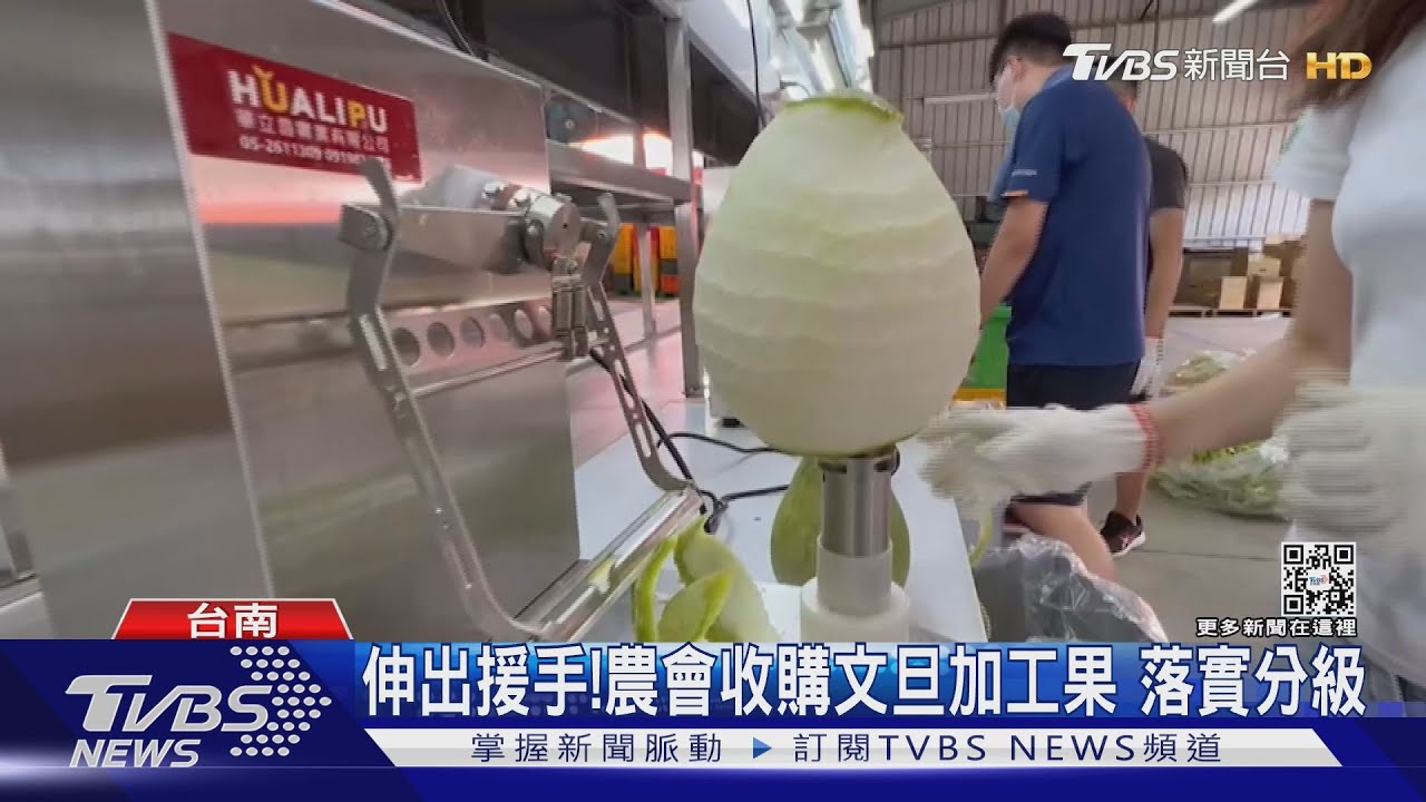伸出援手!農會收購文旦加工果 落實分級