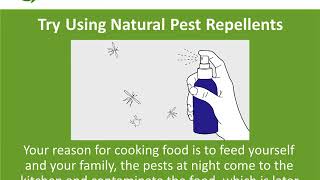 Methods To Keep Pests Away From Your Kitchen