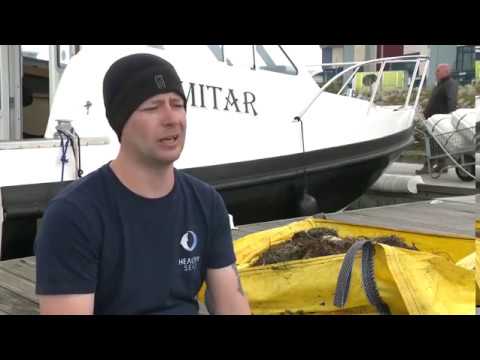 Portland Harbour - BBC Spotlight 2019