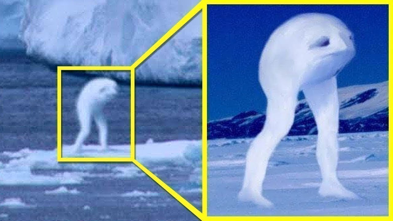 Mistérios Não Resolvidos Que Não Podem Ser Explicados... Mas Eu Vou Tentar!