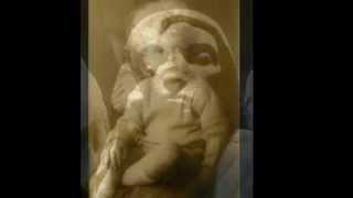 Tiny Children - Teardrop Explodes/Julian Cope Cover