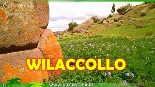 preview picture of video 'CHULLPA DE WILACCOLLO Distrito De PILCUYO - wWw.Pilcuyo.Fa.Pe'