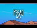 Camilo - Pegao