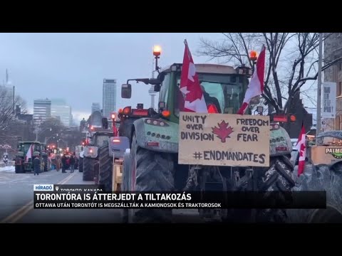 A testmozgás és a szív egészsége