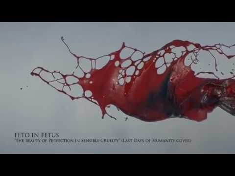 FETO IN FETUS -The Beauty of Perfection in Sensible Cruelty (Last Days of Humanity cover)