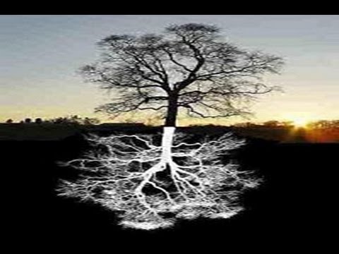 KABAŁA ETZ CHAIM ( Drzewo Życia ) Lekcja 12