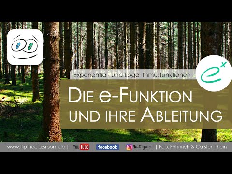 Die e-Funktion und ihre Ableitung | Exponential- und Logarithmusfunktionen | Flip the Classroom