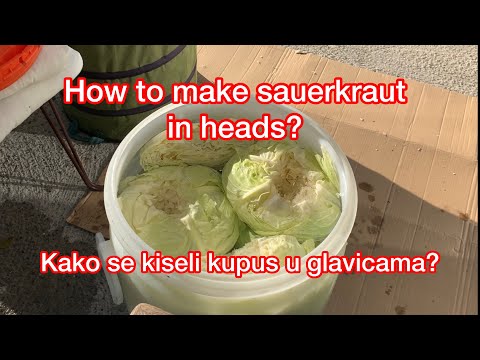 How to make sauerkraut in heads? Kako se kiseli kupus u glavicama?