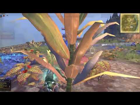 Elder Scrolls - Lair of Maarselok (Normal)