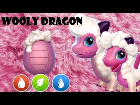 New weekly WOOLY Dragon || Dragon Mania Legends |