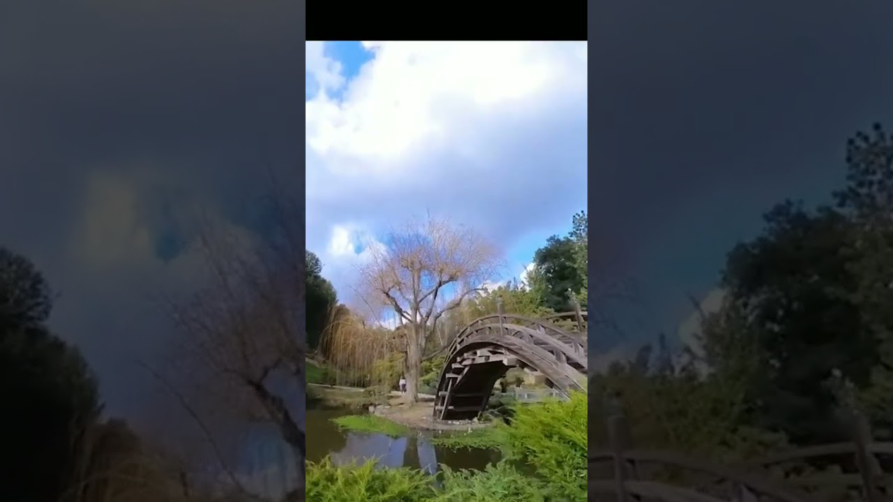 Hidden Bridge To Tranquility,  The Moon Bridge