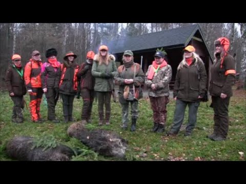 I Met Hunters - Episode 175 Dianas Hunt Together in the Forest