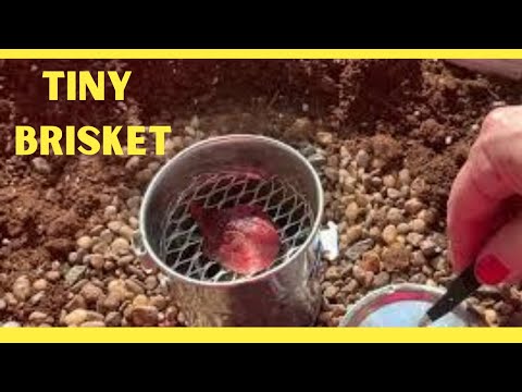 BBQ Brisket In Tiny DIY Ugly Drum Smoker || MITTY'S MINI COOKING || S1 EP 17 ASMR UDS