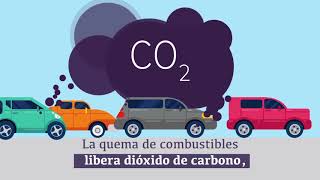 Energía renovable vs. no renovable