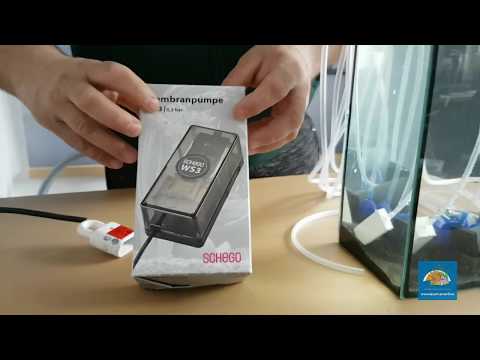 Watch Video on YouTube