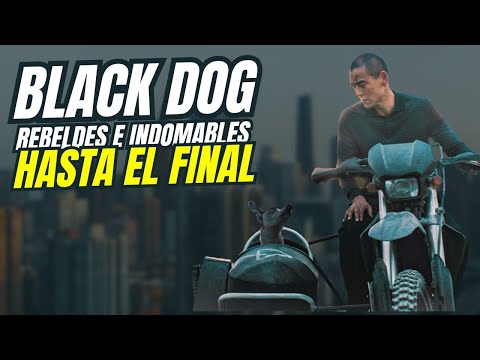 Black Dog. Días de Cine TVE