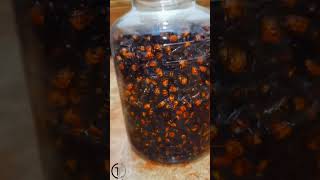 WINE MADE FROM KILLER BEES !