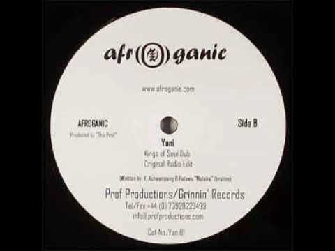 Afroganic ‎– Yani (Original Radio Edit)