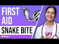 Snake Bite First Aid What To Do Immediately After Snake Bite Hindi Dr Richa Tiwari