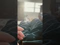Beating My Meat