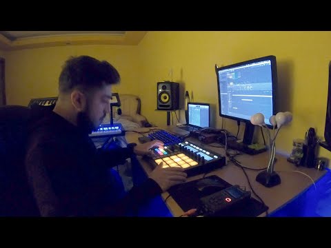 SPZ - Fiul si Norsa | Synesthetic View