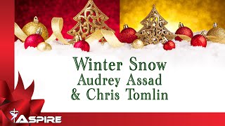 Winter Snow | Audrey Assad | Chris Tomlin | Lyrics | Lyric Video