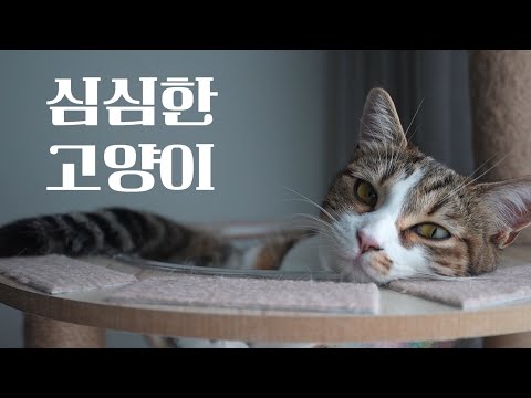 엄마는 이제 안놀아줌