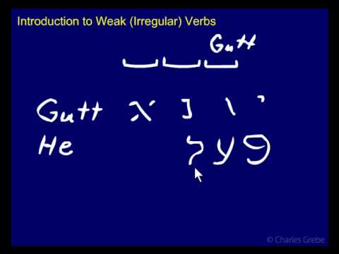 32.01   Introduction to Weak Irregular Verbs
