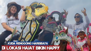 Download lagu Kuda renggong harisbaya terbaru 2026 - Dancing horse video mp3 Download lagu Kuda renggong harisbaya terbaru 2026 - Dancing horse video mp3