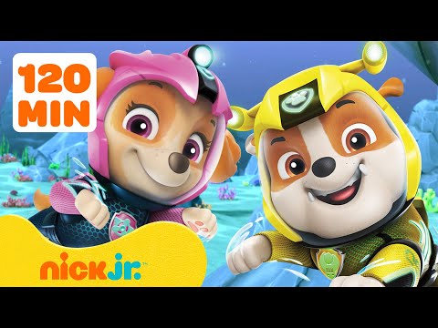 Capa de Patrulha Canina | Resgates da Patrulha Canina em Qualquer Lugar Menos na Baía da Aventura | Nick Jr.