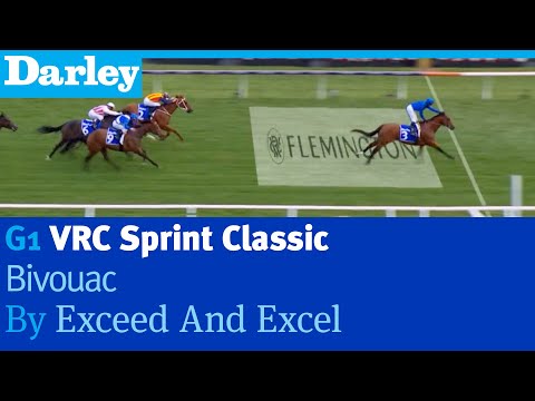 Bivouac by Exceed And Excel wins the G1 VRC Sprint Classic at Flemington