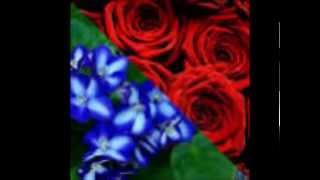 ROSES ARE RED-----SLIM WHITMAN