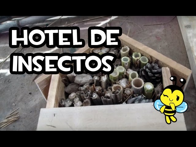 Cómo crear un Hotel de Insectos para Beneficiar tu Huerta