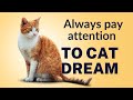 Dream Meaning of Cat - Seeing a cat in a dream - (Cat Dreams) -   #cat, #animals