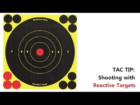 How Can Reactive Targets Help Your Marksmanship?: Shoot-N-C Targets - FateofDestinee Snapshot Ep. 30