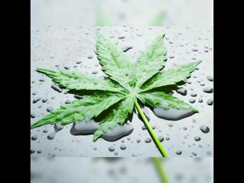 12-Haterz'Be x Ti-Cemeur - DCP [Prod By. Wiby on The Track & Métro Boom Boomin ]