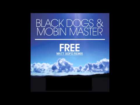 Black Dogs & Mobin Master - Free (Matt Sofo Remix)